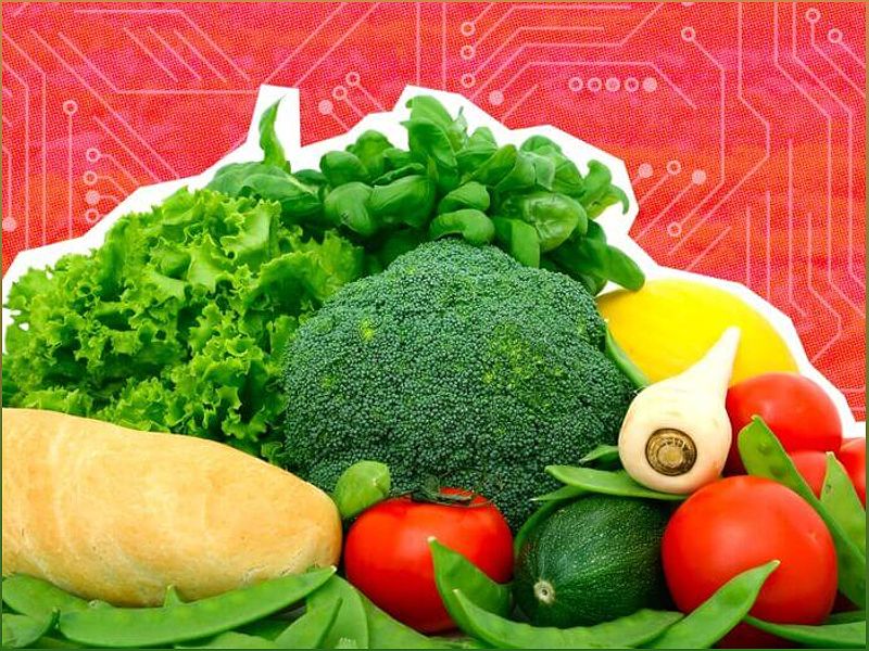 How IoT is Revolutionizing Organic Farming - -1264129021