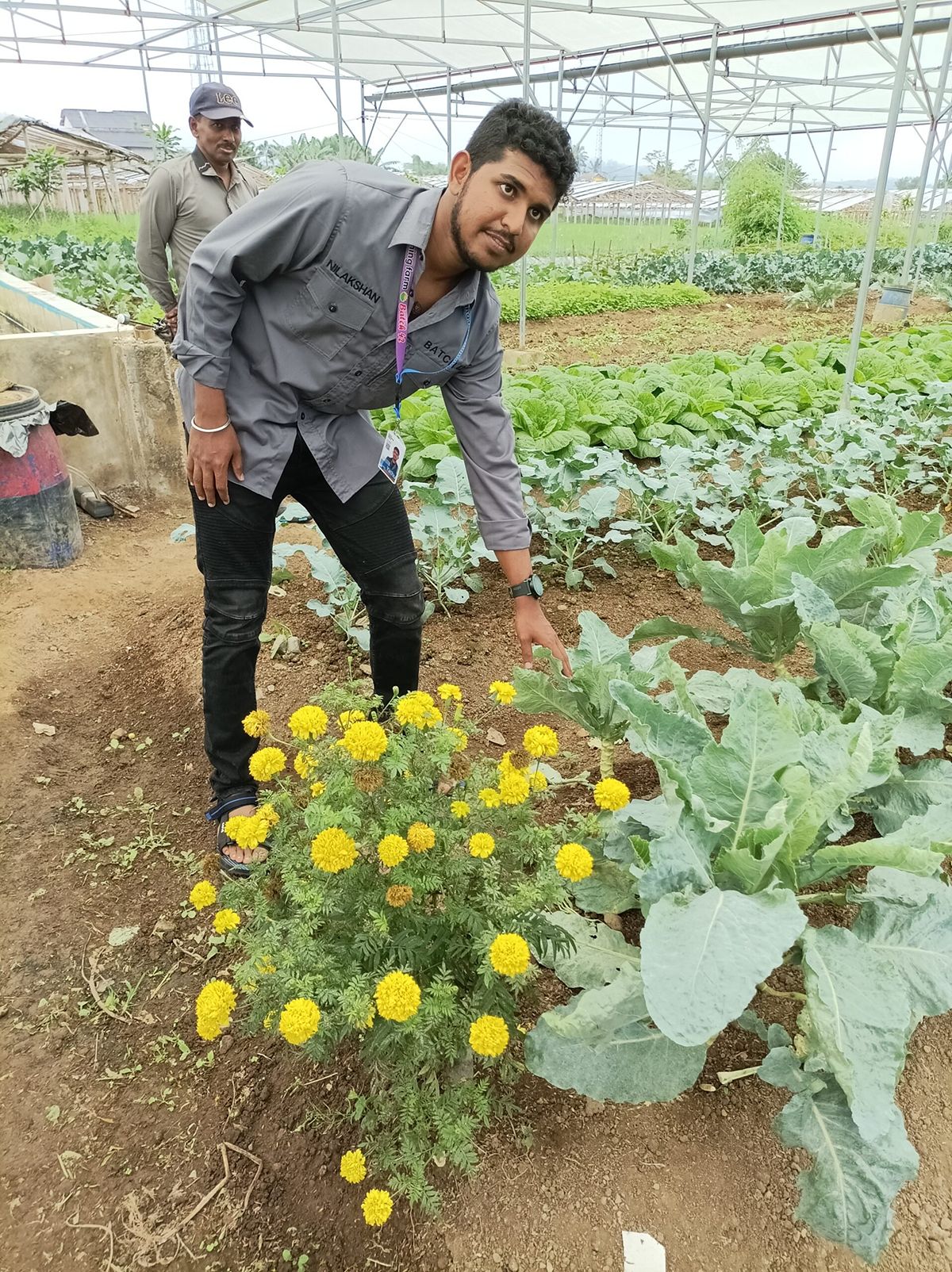 Jadhu's Journey: From Refugee to Organic Farmer - 1333737079