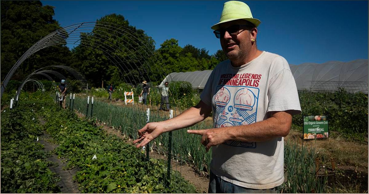 James Cassidy: A Rock Star Turned Soil Scientist Cultivates Organic Farming Movement - -98036555