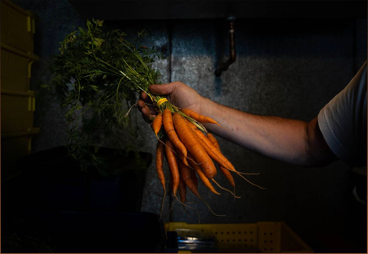 James Cassidy: A Rock Star Turned Soil Scientist Cultivates Organic Farming Movement - 1505269446