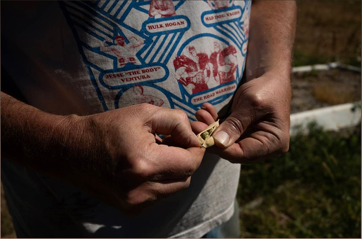 James Cassidy: A Rock Star Turned Soil Scientist Cultivates Organic Farming Movement - 2030969986