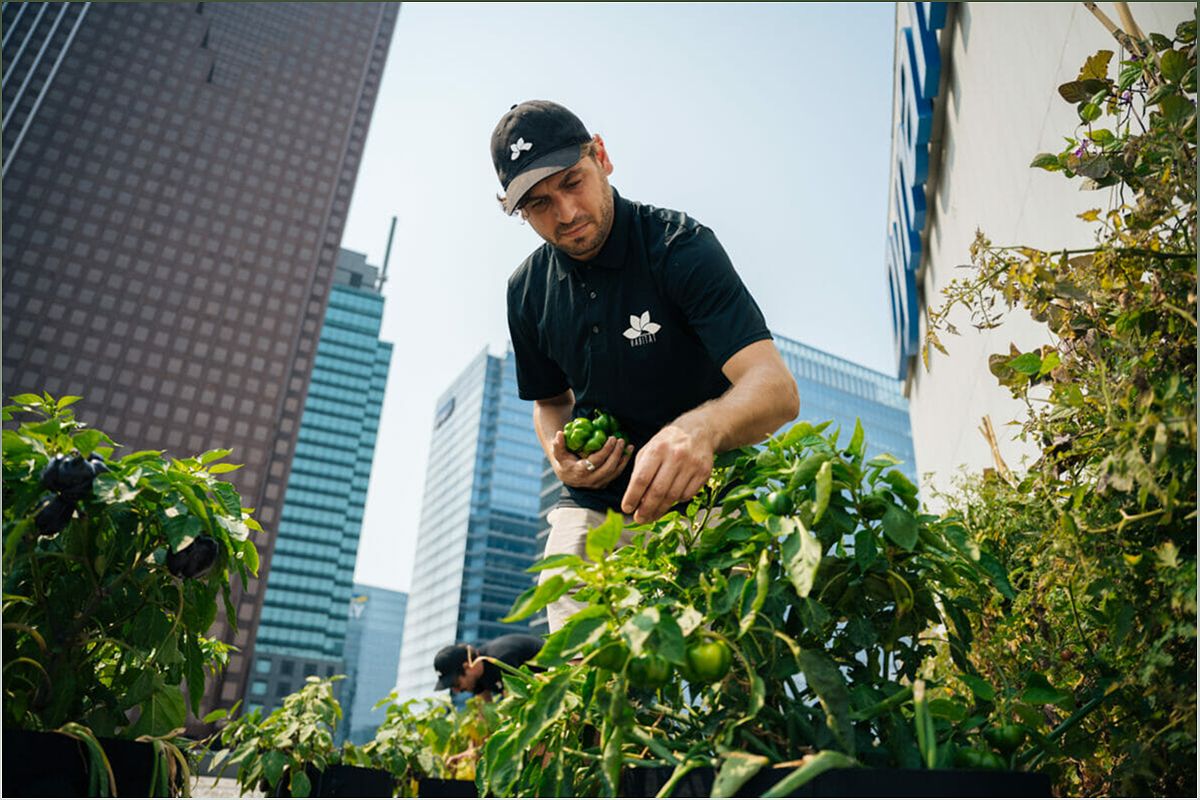 MicroHabitat: Sustainable Urban Farming for North American Cities - -779993540