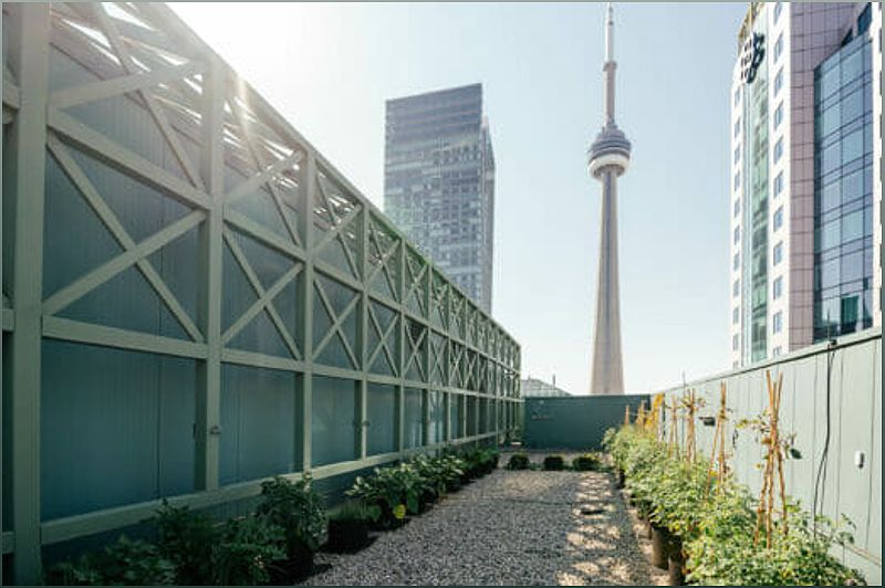 MicroHabitat: Sustainable Urban Farming for North American Cities - -1263626504