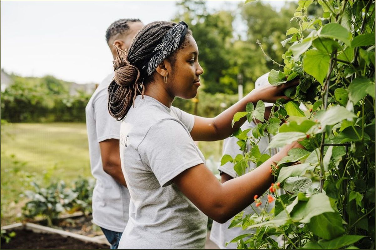 Nurturing Healthy Communities Through Organic Farming - 2111939874