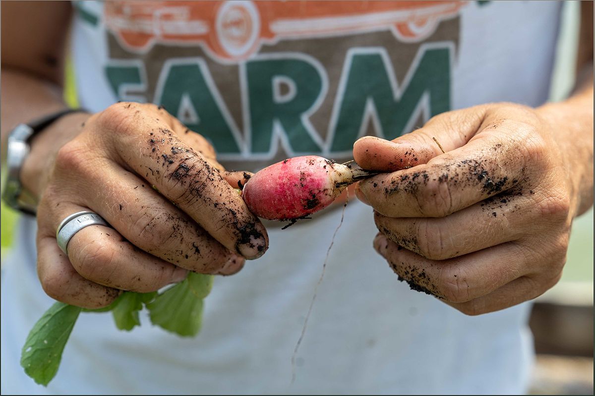 Organic Market Development Act: Boosting Support for Organic Farmers in the United States - 1280893118