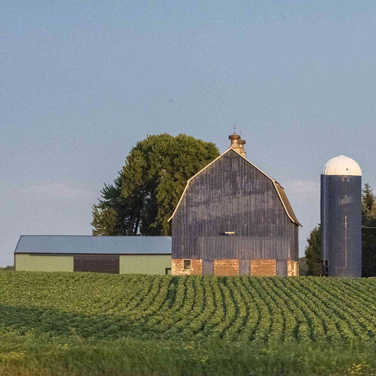 Pennsylvania Positions Itself as a Leader in Organic Farming - -907336236