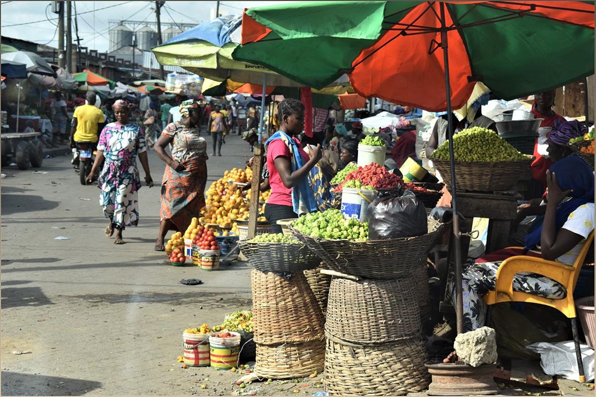 Promoting Organic Fertilizer in Ghana: A Key Solution for Food Security - 1316570120