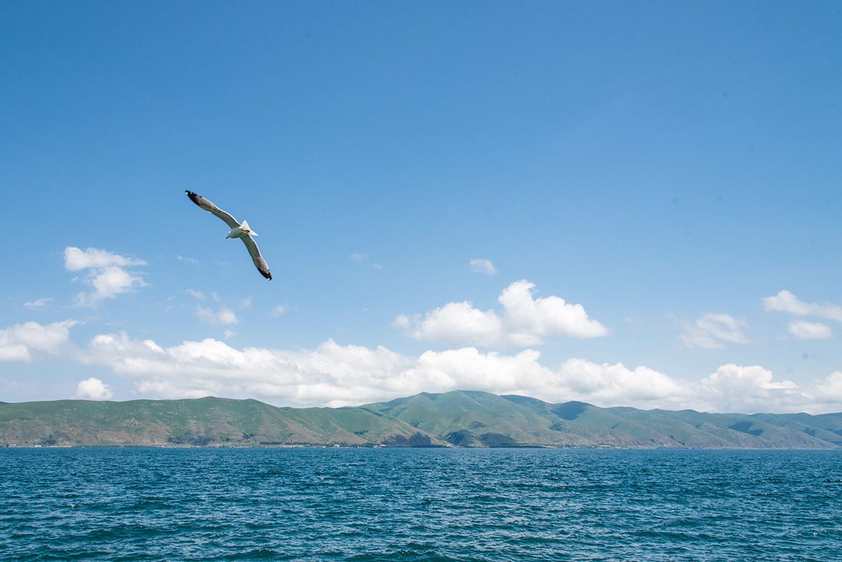 Sustainable Land Management: Protecting Lake Sevan and Promoting Organic Farming - -2091240735