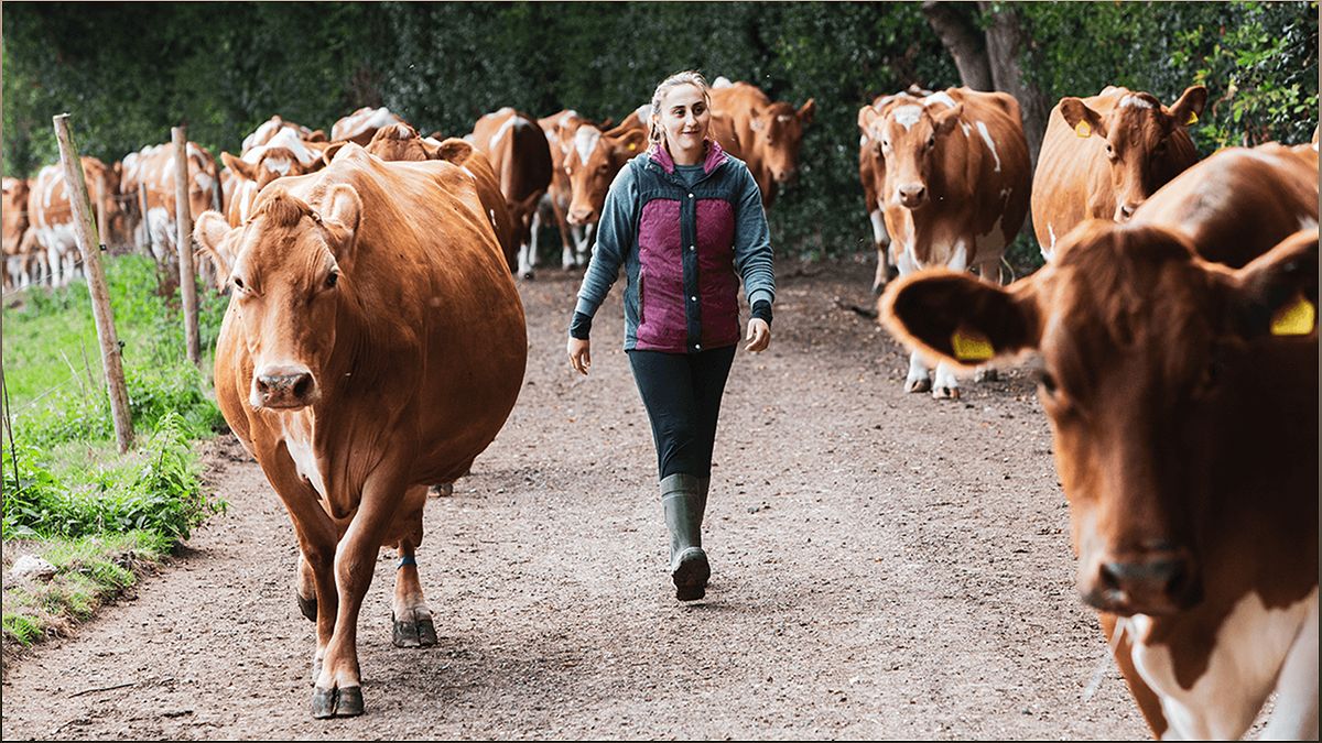 The Benefits of Organic Dairy Farming: A Sustainable and Healthy Approach - 727349285