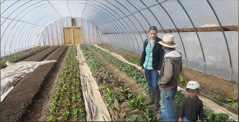 The Organic Farmer Study: Shedding Light on an Essential Workforce - -952851612