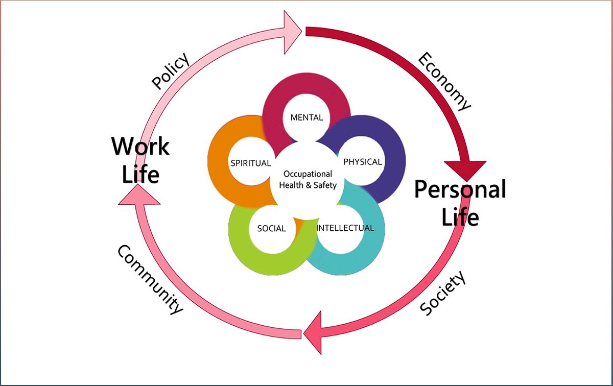 The Organic Farmer Study: Shedding Light on an Essential Workforce - 919035011