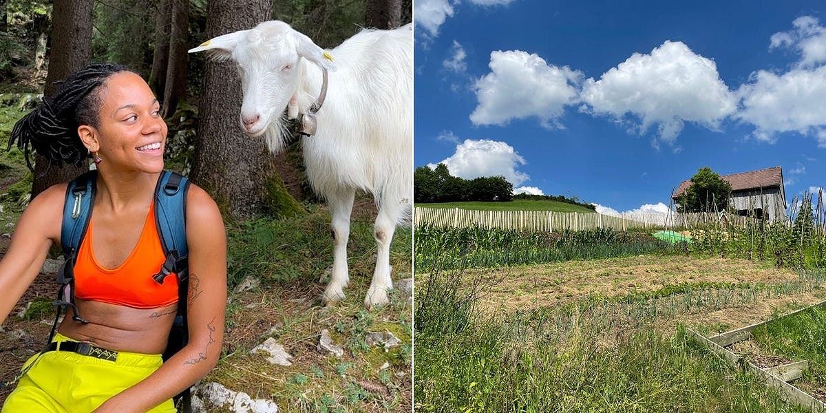 Volunteering on a Swiss Farm: The Best Sustainable Vacation - 252952683