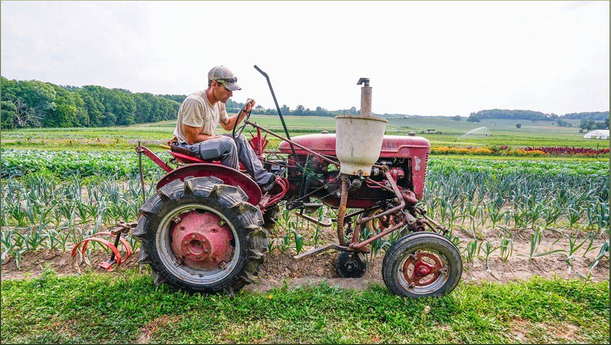 Wisconsin's Organic Farming Apprenticeship Program Cultivates a Sustainable Workforce - 2138281269